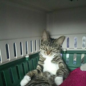 Meet your Posher, Crystal